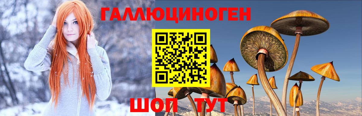 Галлюциногенные грибы MAGIC MUSHROOMS Коломна